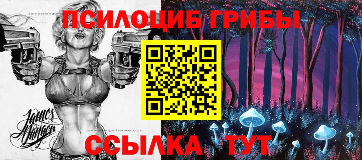 Галлюциногенные грибы MAGIC MUSHROOMS  Вход с VPN  наркотики  Партизанск 