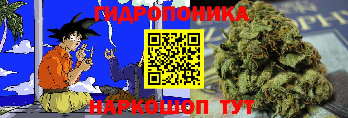 Бошки марихуана Amnesia Партизанск